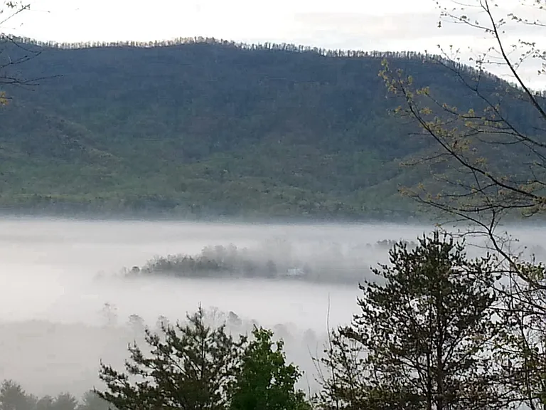 Next morning after a rain