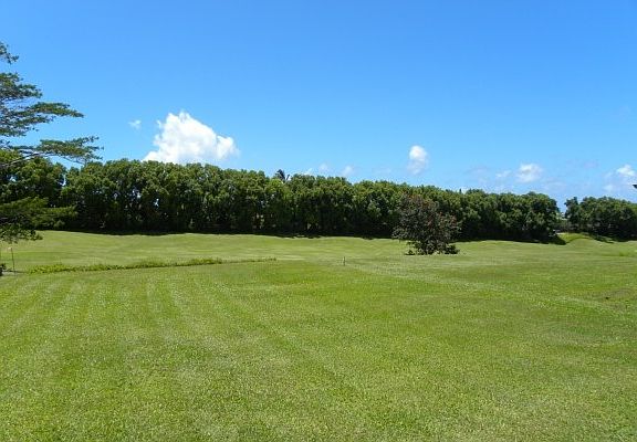 4th image of 4004 Aloalii Dr