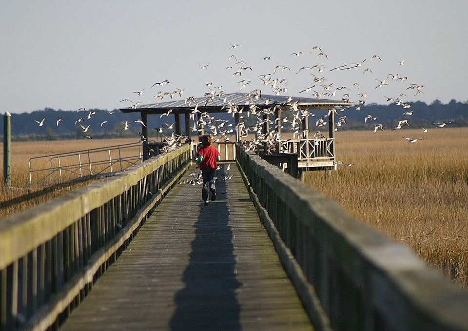 community deep water dock