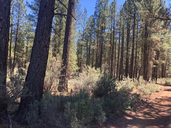 19 Buckhorn Ln, Sprague River, OR 97639