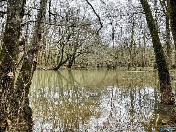 Forman Bottoms Rd, Somerville, AL 35670