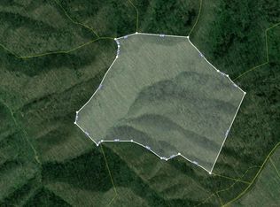 Reece Light Rd, Rogersville, TN 37857