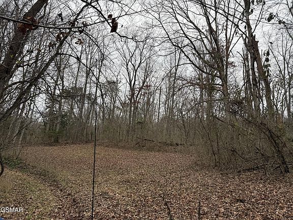 3rd image of 0 Off Allen Chapel Rd Lot 0