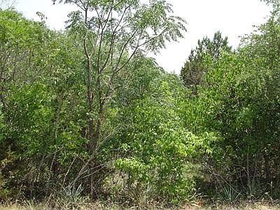 Backside of Property