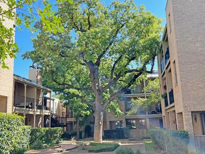 611 E 45th St APT 22, Austin, TX, 78751