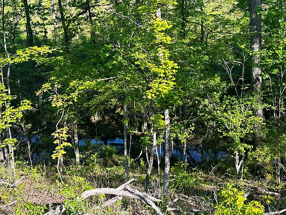 2nd image of Cotton Hill Rd