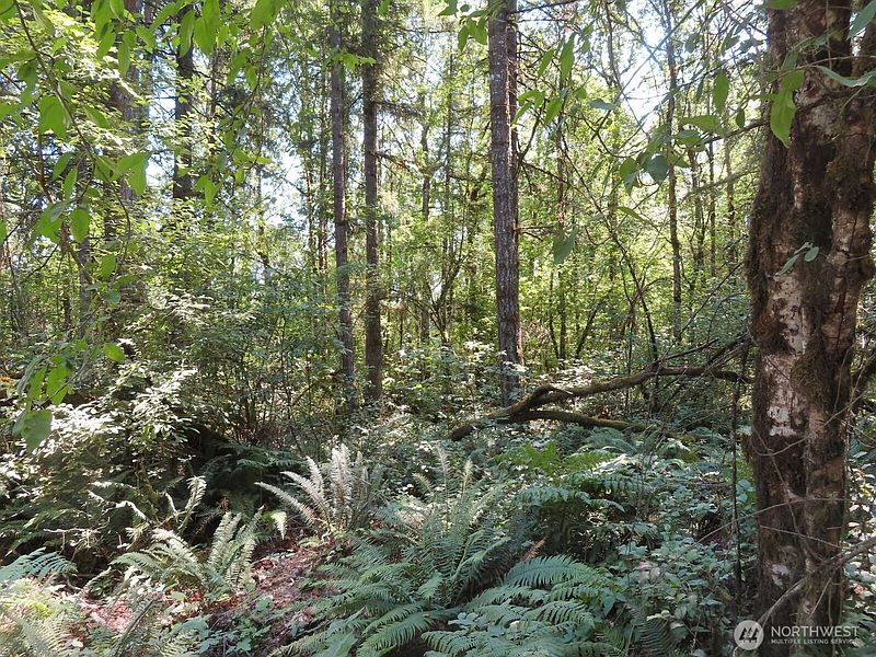 5th image of 115 Campground Lane