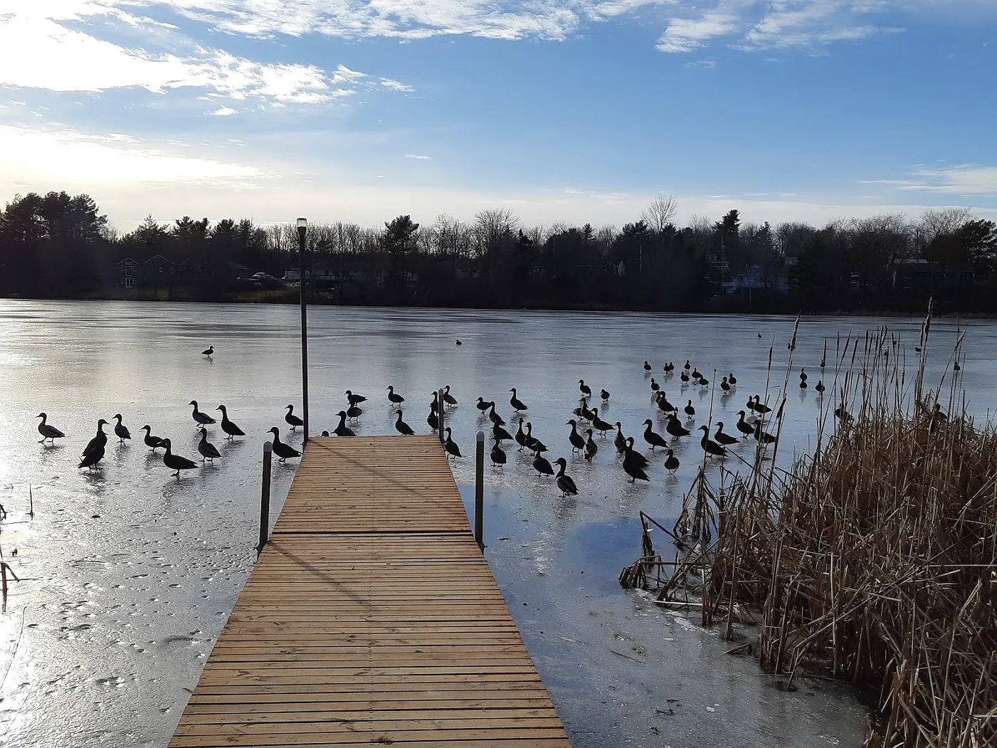 Kinsac Rd, Beaver Bank — Photo 3