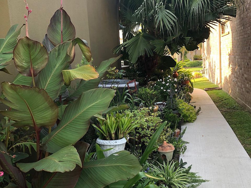 2nd image of 1450 Royal Palm Dr