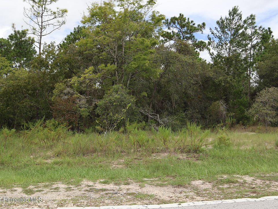 8061 Madrid Rd, Brooksville, FL 34613 Zillow