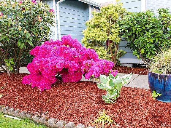 3rd image of 927 Avalon Ct SE