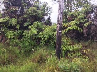 11-2473 Omeka Rd LOT 26, Volcano, HI 96785
