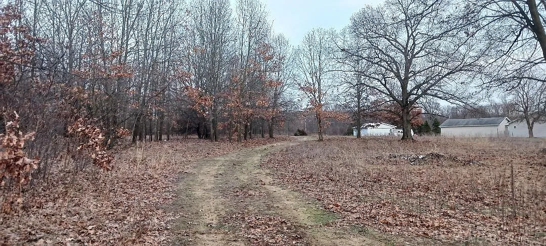87573 County Road 668 photo 1