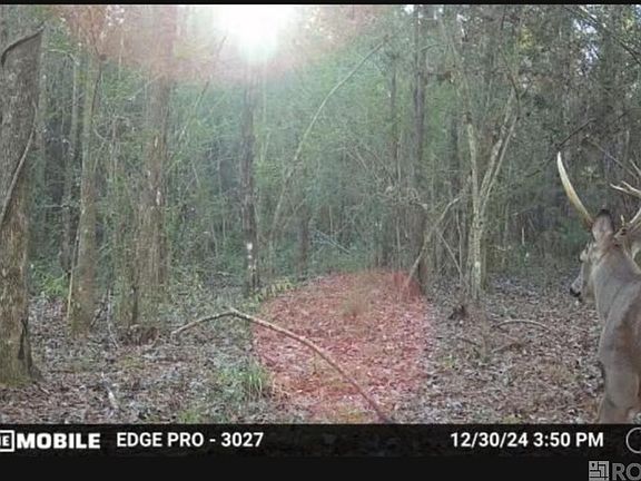 2nd image of 5903 Line Rd