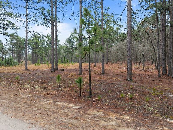 3rd image of Forest Ridge Ln Lot 1