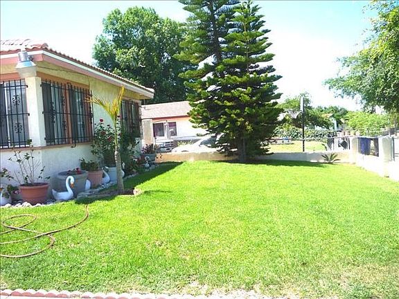 Front yard 