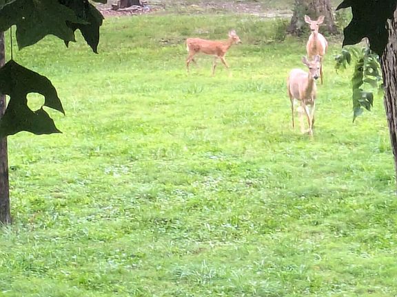 4th image of 86 W Bunkerhill Rd