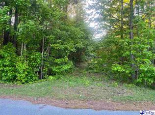 2921 Robert E Lee Ave, Timmonsville, SC 29161