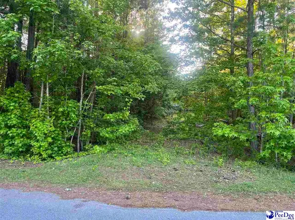 2921 Robert E Lee Ave, Timmonsville, SC 29161