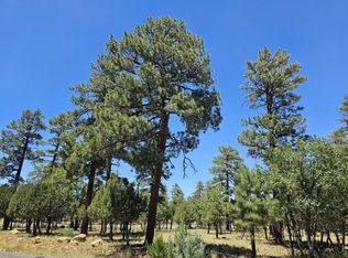 2367 Deer Path, Happy Jack, AZ 86024