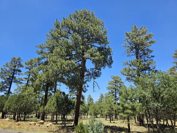 2367 Deer Path, Happy Jack, AZ 86024