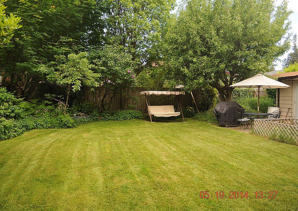 West half of backyard.  
