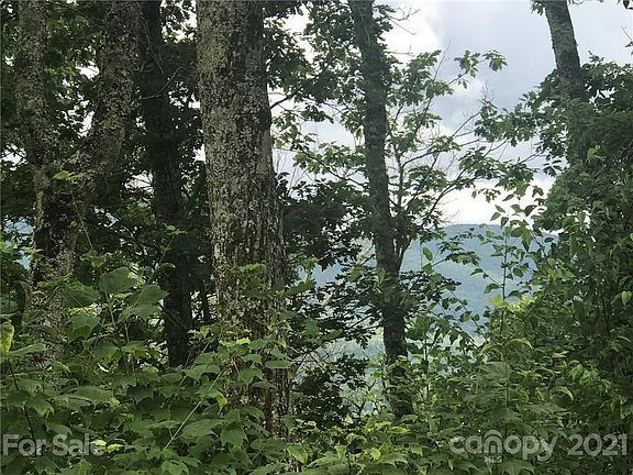 4th image of 428 Linville Oaks Dr Lot 13