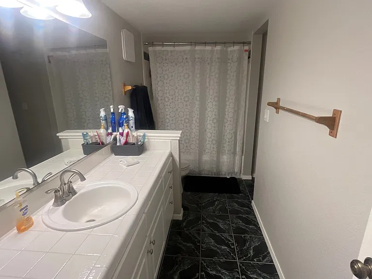 2827 Springdale Ln — Photo 5