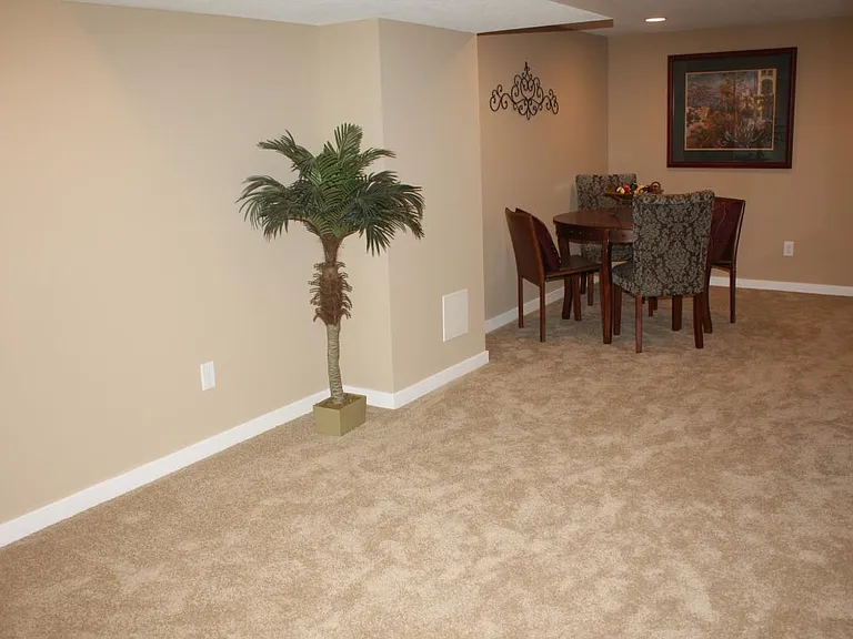 New Finished Basement