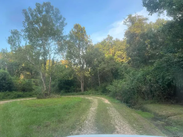 5 Allen Brown Ln, Jackson, LA 70748