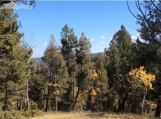 405 Elkhorn Rd, Florissant, CO 80816