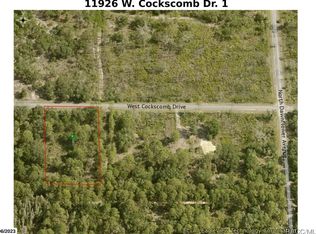 11926 W Cockscomb Dr, Crystal River, FL 34428