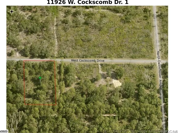 11926 W Cockscomb Dr, Crystal River, FL 34428