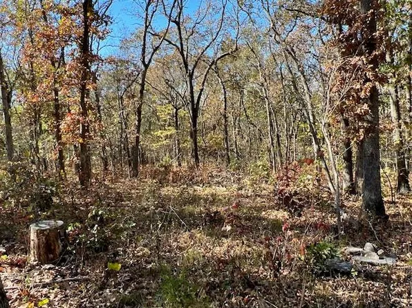 817 Private Rd, Osceola, MO 64776