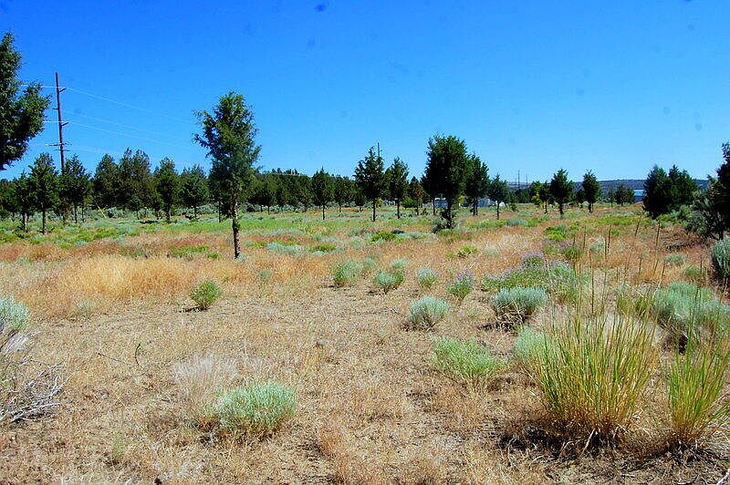 0 SE Juniper Canyon Rd Prineville, OR, 97754 Apartments for Rent Zillow