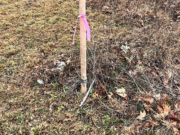 3rd image of 11 Kelly Ln Lot 11