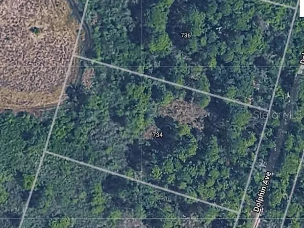 734 Dolphin Ave Lot 5, Lake Placid, FL 33852