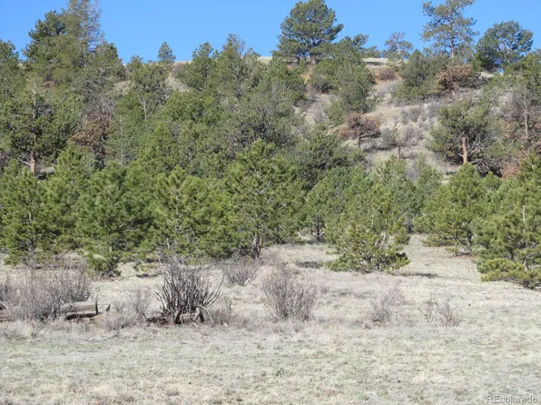 580 Oxford Drive LOT 01, Hartsel, CO 80449