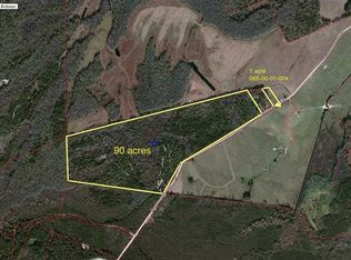 Gunters Island Rd #99, Galivants Ferry, SC 29544