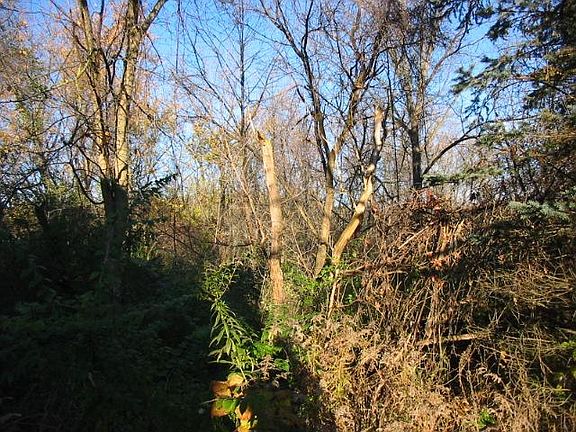 4th image of 1717 Fulmer St