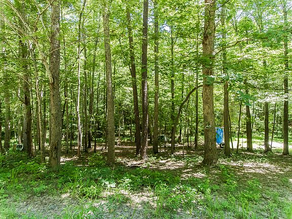 5th image of 3535 Charlies Ct