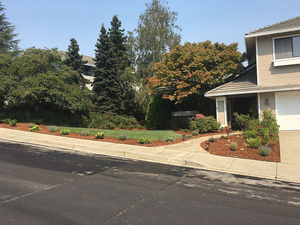 New landscaping