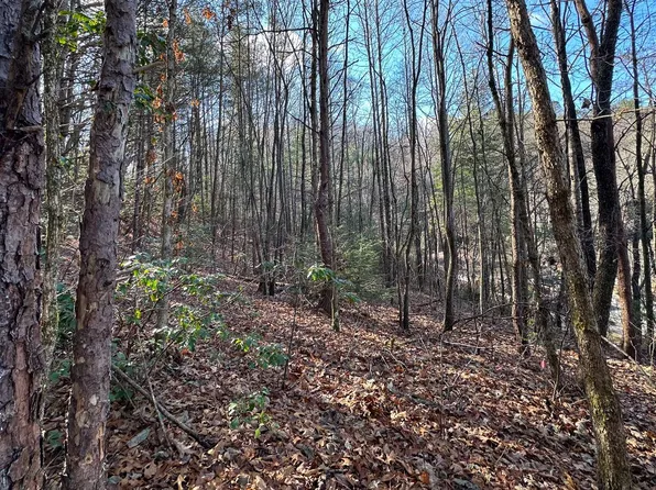 0 S Main St, Robbinsville, NC 28771