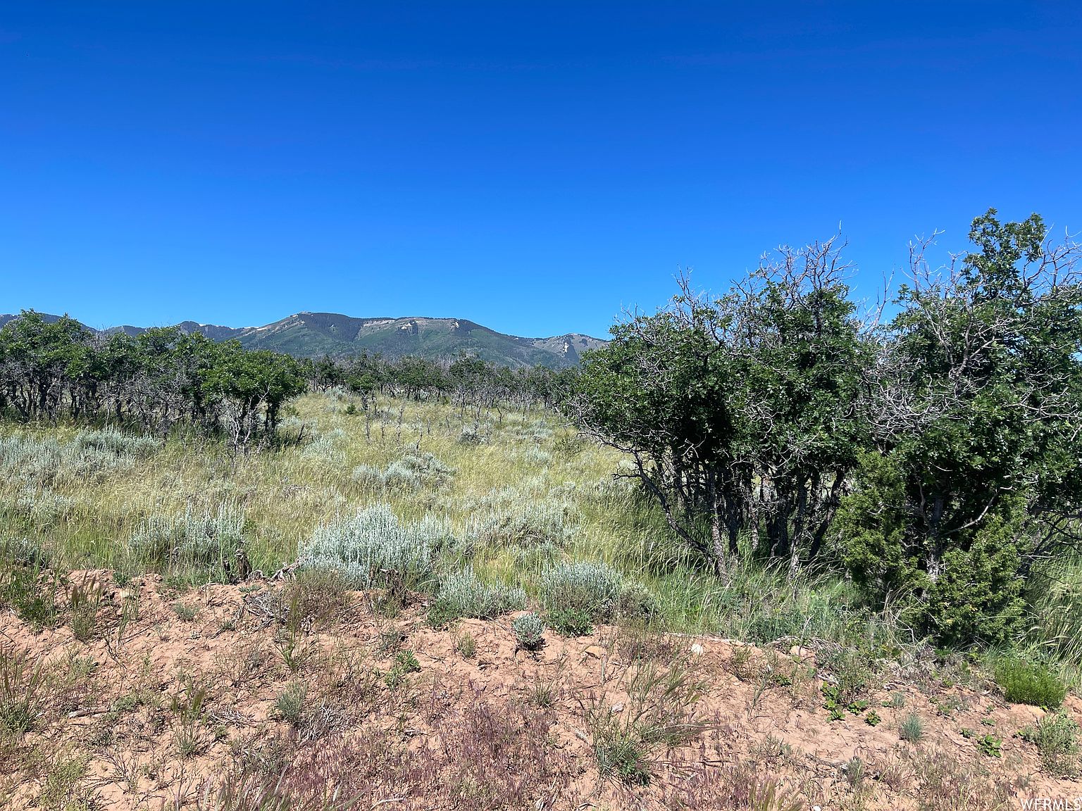 0 N Creek Rd, Monticello, UT 84535 | MLS #1886208 | Zillow