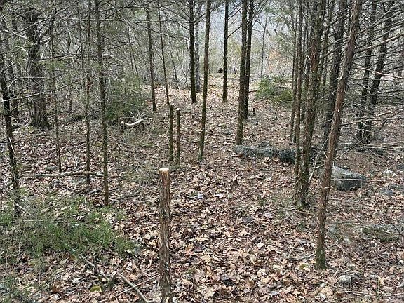 4th image of 24 Limestone Dr Lot 24