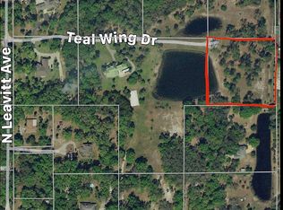 840 Teal Wing Dr, Orange City, FL 32763