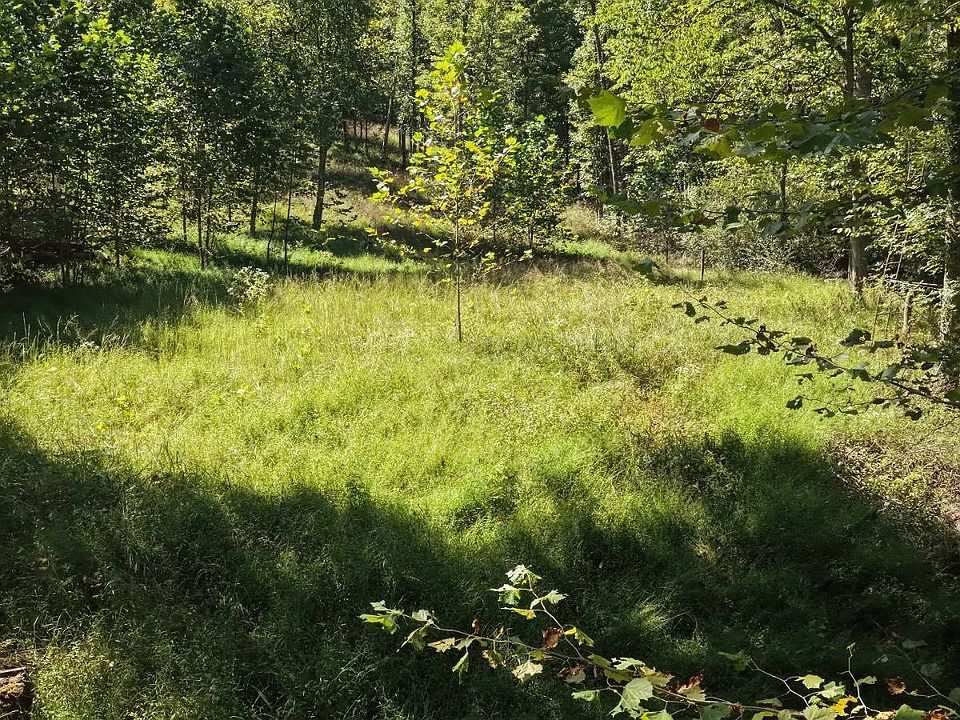 1st image of Third Run Rd