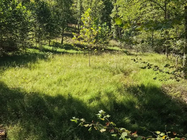 Third Run Rd, Glenville, WV 26351