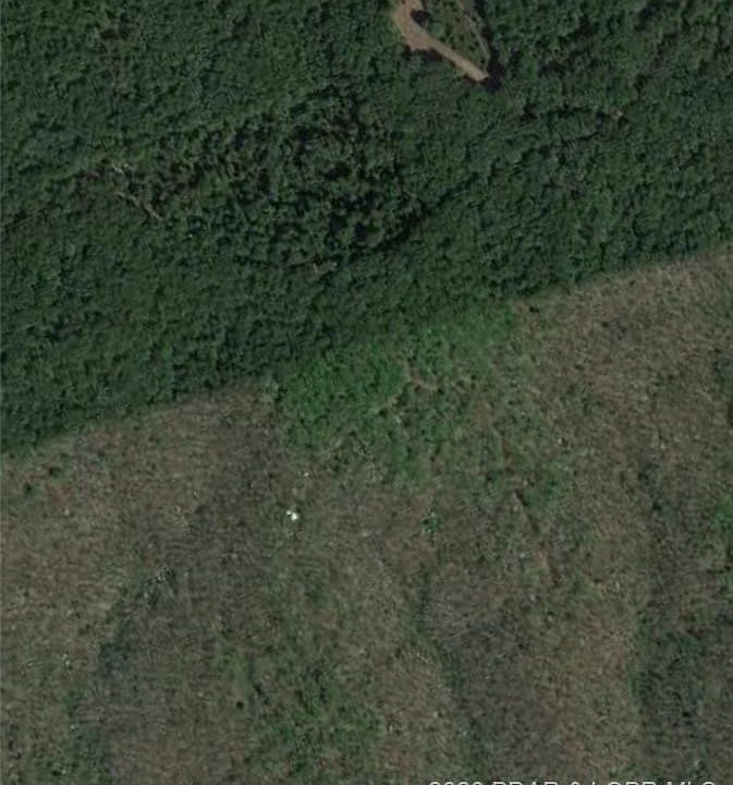 2nd image of 13209 Fork Creek Rd