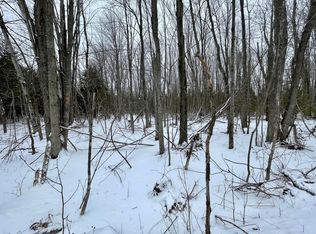 Stoney Creek Hwy, Onaway, MI 49765